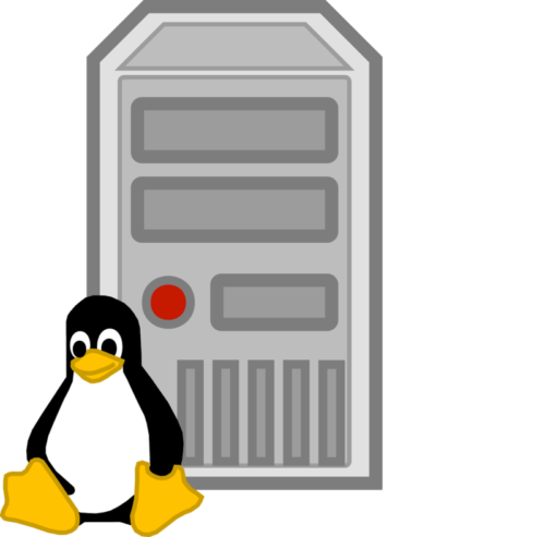 The 5 Best Linux Servers for Small Business