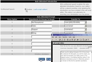 A Virtual PBX for Your Real Business