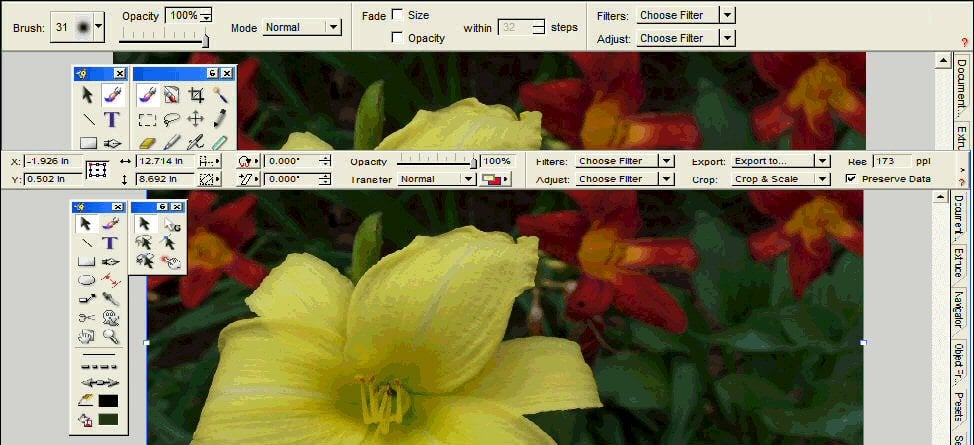 Canvas X: Ten Times the Versatility of Your Average Graphics Tool