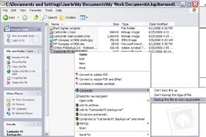 Carbonite Makes Backup a No-Brainer