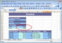Microsoft Excel: Design Error-Free Worksheets