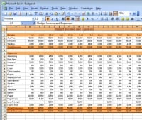 Small Business Solution: Manage Your Money in Excel