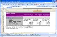 Excel scenario screen shot – Summary format