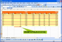 Working with Even More Functions in Excel