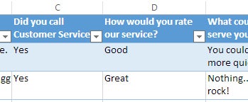 Survey responses in the Excel worksheet