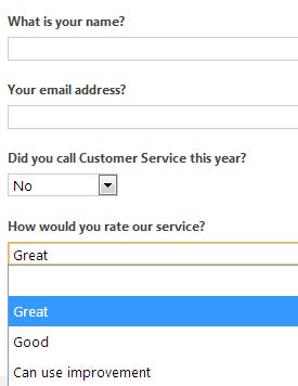 View your survey