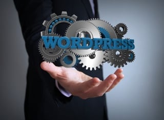 SMBs Neglect WordPress Sites and Flirt with Danger