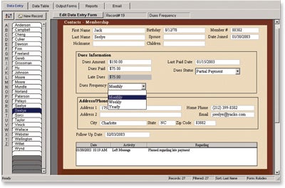 MySoftware's Database Professional