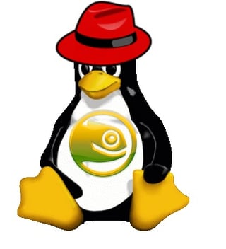 The Benefits of Enterprise Linux for Small Business